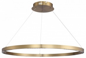 Подвесной светильник ST-Luce PARILLA SL6238.343.01 в Ялуторовске - yalutorovsk.mebel24.online | фото 3