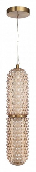 Подвесной светильник ST-Luce SAGUARO SL6144.303.01 в Ялуторовске - yalutorovsk.mebel24.online | фото 3