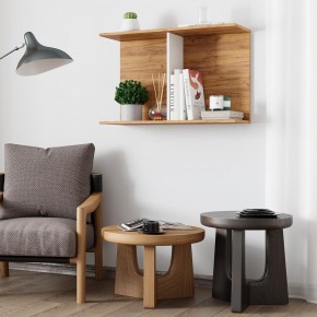 Полка Ион-3 (крафт/белый) в Ялуторовске - yalutorovsk.mebel24.online | фото 3