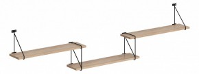 Полка навесная Coffee SH4-ROD/BAR в Ялуторовске - yalutorovsk.mebel24.online | фото