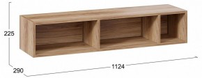 Полка навесная ТД-102.28 в Ялуторовске - yalutorovsk.mebel24.online | фото 9