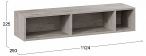 Полка навесная ТД-102.28 в Ялуторовске - yalutorovsk.mebel24.online | фото 8