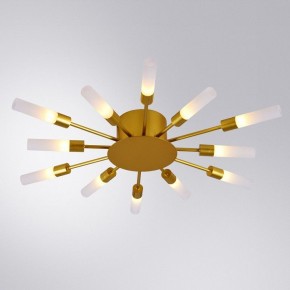 Потолочная люстра Arte Lamp Maple A1276PL-12GO в Ялуторовске - yalutorovsk.mebel24.online | фото 1