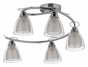Потолочная люстра Arti Lampadari Paola, Tavenna Nickel Paola E 1.1.5 N в Ялуторовске - yalutorovsk.mebel24.online | фото