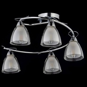 Потолочная люстра Arti Lampadari Paola, Tavenna Nickel Paola E 1.1.5 N в Ялуторовске - yalutorovsk.mebel24.online | фото 2