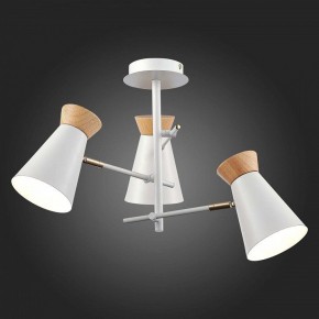Потолочная люстра EVOLUCE Alfeo SLE1252-502-03 в Ялуторовске - yalutorovsk.mebel24.online | фото 3