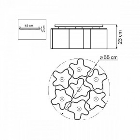 Потолочная люстра Lightstar Nubi 802070 в Ялуторовске - yalutorovsk.mebel24.online | фото 6