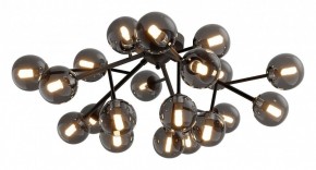 Потолочная люстра Maytoni Dallas MOD545CL-20B в Ялуторовске - yalutorovsk.mebel24.online | фото 2