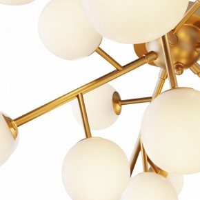 Потолочная люстра Maytoni Dallas MOD545CL-20BS в Ялуторовске - yalutorovsk.mebel24.online | фото 2