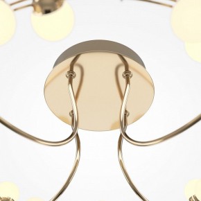 Потолочная люстра Maytoni Tessara MOD081CL-L36G3K в Ялуторовске - yalutorovsk.mebel24.online | фото 4