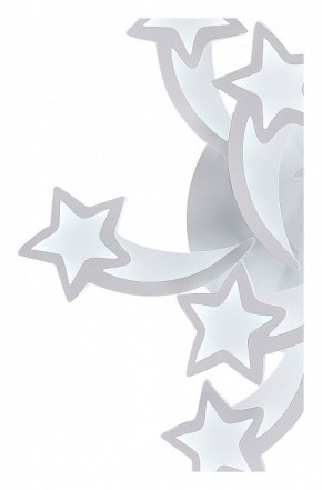 Потолочная люстра Natali Kovaltseva LED LAMPS LED LAMPS 81225 в Ялуторовске - yalutorovsk.mebel24.online | фото 6