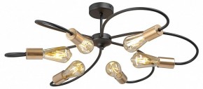 Потолочная люстра Vitaluce V3076 V3076-1/6PL в Ялуторовске - yalutorovsk.mebel24.online | фото 3