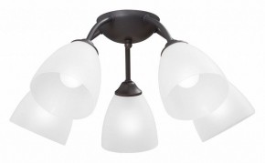 Потолочная люстра Vitaluce V3184 V3737-2/5PL в Ялуторовске - yalutorovsk.mebel24.online | фото