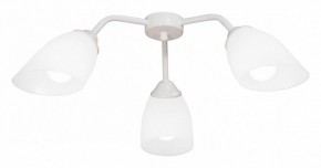 Потолочная люстра Vitaluce V31950 V31950/3PL в Ялуторовске - yalutorovsk.mebel24.online | фото