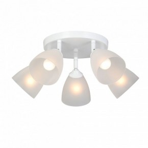Потолочная люстра Vitaluce V4355 V4355-0/5PL в Ялуторовске - yalutorovsk.mebel24.online | фото 2