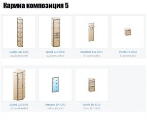 Прихожая Карина (модульная) в Ялуторовске - yalutorovsk.mebel24.online | фото 2