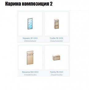 Прихожая Карина (модульная) в Ялуторовске - yalutorovsk.mebel24.online | фото 6