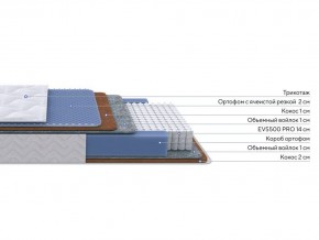 PROxSON Матрас Active Duo M/F (Ткань Трикотаж Эко) 200x200 в Ялуторовске - yalutorovsk.mebel24.online | фото 2