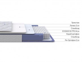 PROxSON Матрас Active Duo S/F (Ткань Трикотаж Эко) 120x195 в Ялуторовске - yalutorovsk.mebel24.online | фото 2