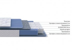 PROxSON Матрас Active M Roll (Ткань Трикотаж Эко) 180x200 в Ялуторовске - yalutorovsk.mebel24.online | фото 2