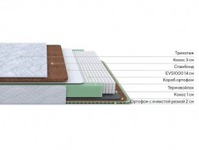 PROxSON Матрас Green Duo M/F (Tricotage Dream) 120x190 в Ялуторовске - yalutorovsk.mebel24.online | фото 2