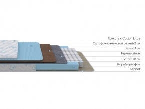 PROxSON Матрас Совенок (Print) 120x120 в Ялуторовске - yalutorovsk.mebel24.online | фото 2