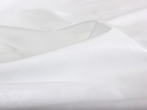 PROxSON Защитный чехол Aqua Save Plush S (Ткань влагостойкая Coral Fleece) 160x200 в Ялуторовске - yalutorovsk.mebel24.online | фото 6