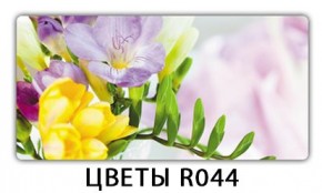 Раздвижной СТ Бриз орхидея R041 Доска D110 в Ялуторовске - yalutorovsk.mebel24.online | фото 12