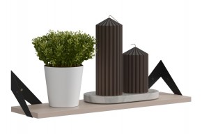 РИЧ Полка навесная в Ялуторовске - yalutorovsk.mebel24.online | фото 3