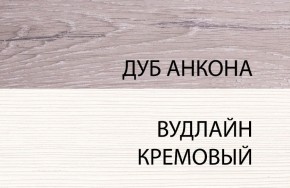 Шкаф 1DZ, OLIVIA, цвет вудлайн крем/дуб анкона в Ялуторовске - yalutorovsk.mebel24.online | фото 3