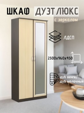 Шкаф 2-х створчатый Дуэт Люкс с зеркалом в Ялуторовске - yalutorovsk.mebel24.online | фото