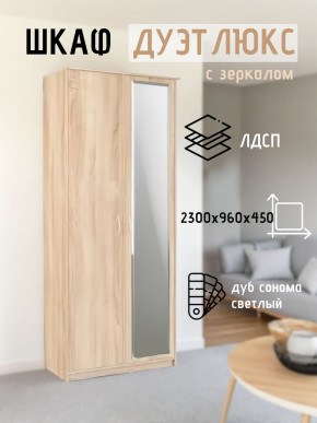 Шкаф 2-х створчатый Дуэт Люкс с зеркалом в Ялуторовске - yalutorovsk.mebel24.online | фото 7