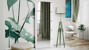 Шкаф для обуви Тип 9 в Ялуторовске - yalutorovsk.mebel24.online | фото 3