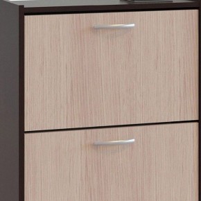 Шкаф для обуви ТО-24 в Ялуторовске - yalutorovsk.mebel24.online | фото 4