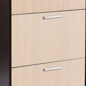 Шкаф для обуви УК-4 в Ялуторовске - yalutorovsk.mebel24.online | фото 2