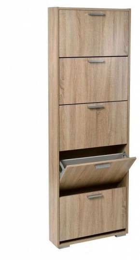 Шкаф для обуви УК-5 в Ялуторовске - yalutorovsk.mebel24.online | фото