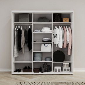Шкаф-купе Акцент-Сим З 1500-600 в Ялуторовске - yalutorovsk.mebel24.online | фото 2