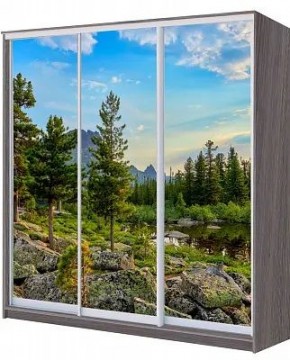 Шкаф-купе ХИТ 22-4-20/2-777 ПРИРОДА в Ялуторовске - yalutorovsk.mebel24.online | фото