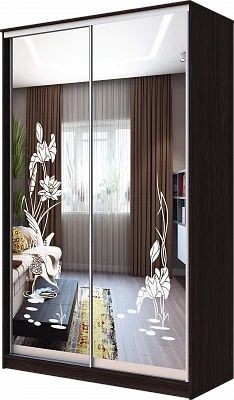 Шкаф-купе ХИТ 23-12-66 ЦАПЛИ в Ялуторовске - yalutorovsk.mebel24.online | фото