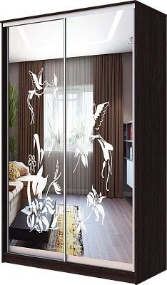 Шкаф-купе ХИТ 23-4-12/2-66 КОЛИБРИ в Ялуторовске - yalutorovsk.mebel24.online | фото