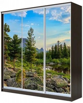 Шкаф-купе ХИТ 23-4-18/2-777 ПРИРОДА в Ялуторовске - yalutorovsk.mebel24.online | фото