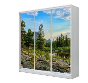 Шкаф-купе ХИТ 23-4-20-777 (420) в Ялуторовске - yalutorovsk.mebel24.online | фото