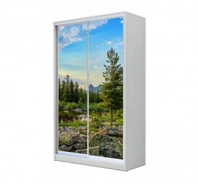 Шкаф-купе ХИТ 24-12/2-77 (620) в Ялуторовске - yalutorovsk.mebel24.online | фото 1