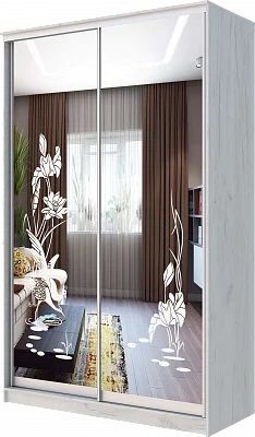 Шкаф-купе ХИТ 24-14-66 ЦАПЛИ в Ялуторовске - yalutorovsk.mebel24.online | фото