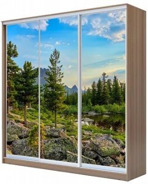 Шкаф-купе ХИТ 24-18-777 ПРИРОДА в Ялуторовске - yalutorovsk.mebel24.online | фото