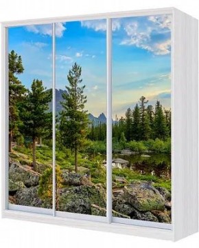 Шкаф-купе ХИТ 24-4-18/2-777 ПРИРОДА в Ялуторовске - yalutorovsk.mebel24.online | фото