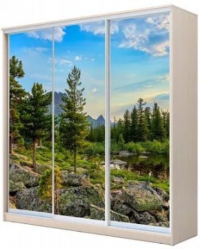 Шкаф-купе ХИТ 24-4-20-777 ПРИРОДА в Ялуторовске - yalutorovsk.mebel24.online | фото