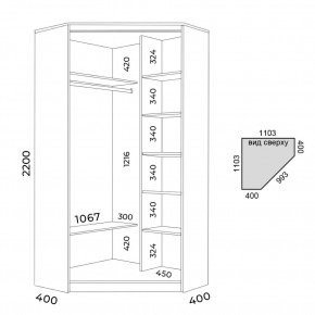 Шкаф-купе ХИТ-У-22-4-15 в Ялуторовске - yalutorovsk.mebel24.online | фото 2