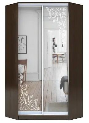 Шкаф-купе ХИТ-У-23-4-66 ОРНАМЕНТ в Ялуторовске - yalutorovsk.mebel24.online | фото