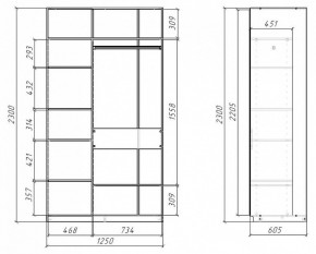 Шкаф-купе SLIM в Ялуторовске - yalutorovsk.mebel24.online | фото 5